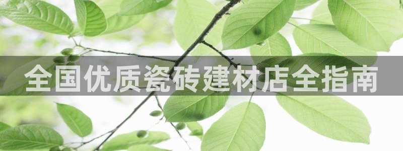 杏鑫平台正规吗可信吗