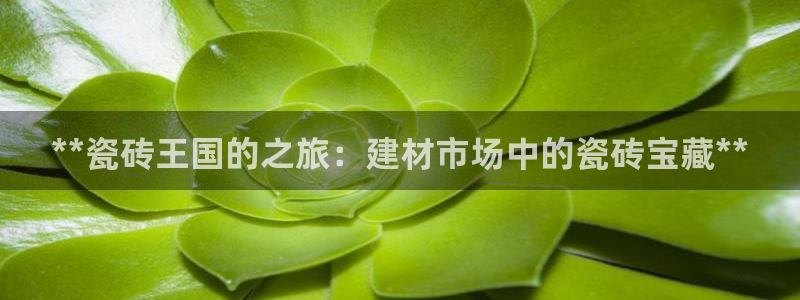 杏鑫手机客户端怎么下载
