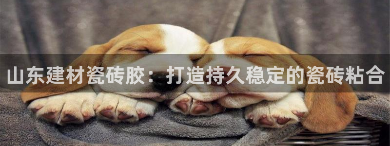 杏鑫平台登录地址在哪