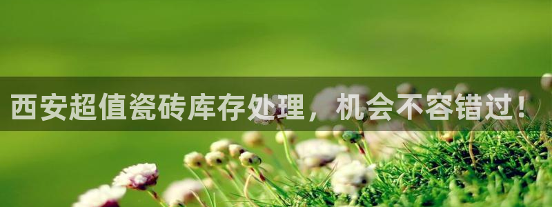 杏鑫平台直属哪个公司