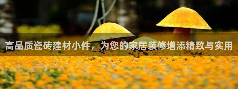 杏鑫娱乐官网登录