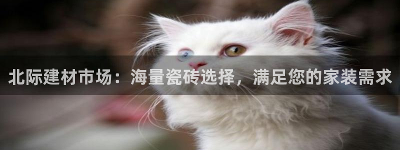 杏鑫官网注册账号密码忘了