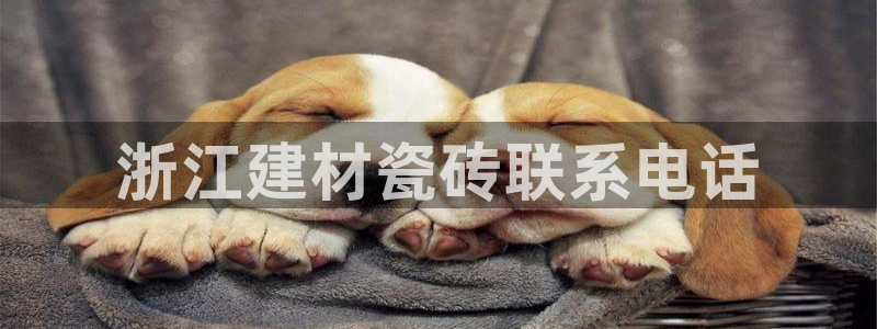 杏鑫平台怎么样黑钱吗安全吗可靠吗
