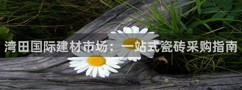 杏鑫平台平台