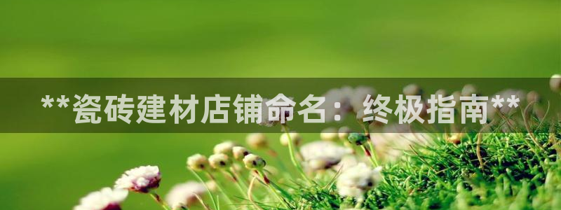 杏鑫平台代理注册流程及费用