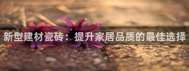 杏鑫平台注册登录
