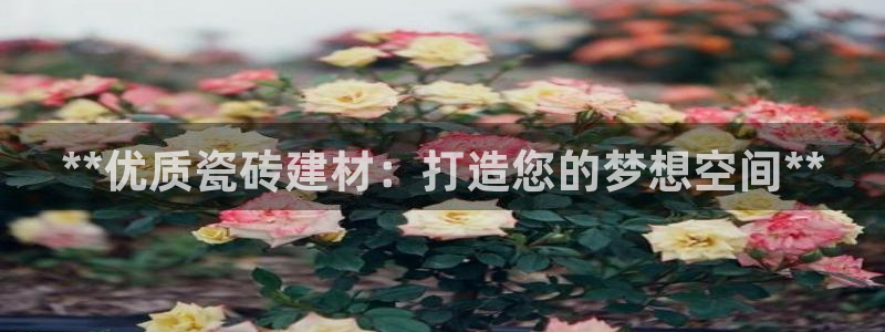杏鑫平台代理怎么做