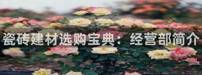 杏鑫注册登录平台