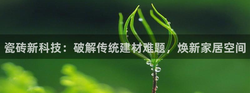 杏鑫平台代理注册