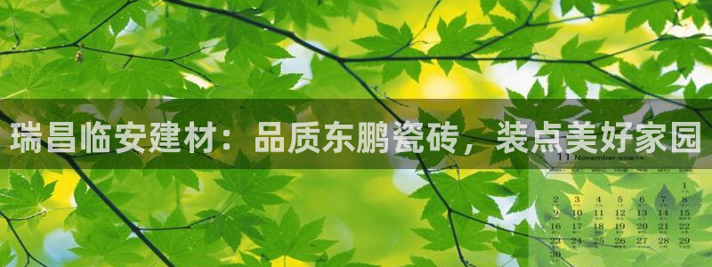 杏鑫平台怎么样知乎