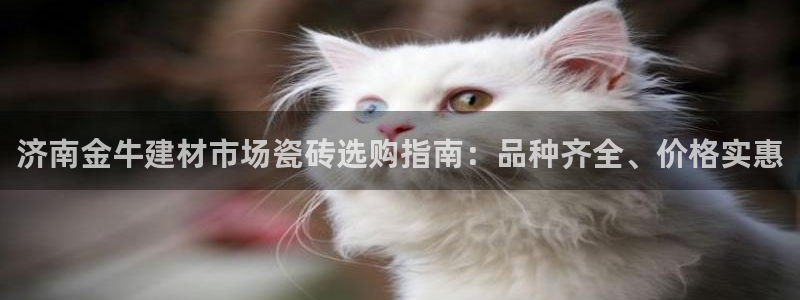 杏鑫娱乐多少年了