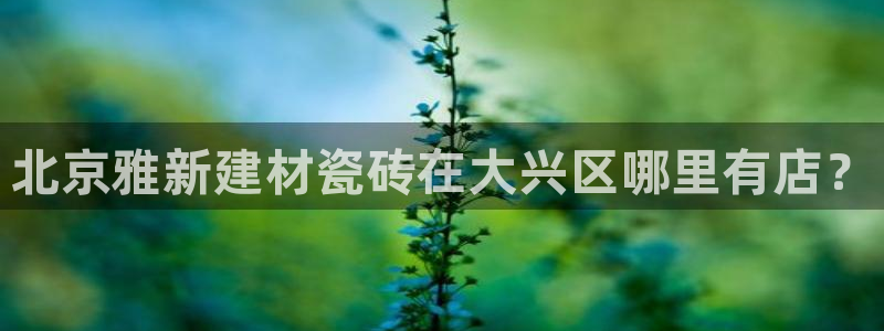 杏鑫平台代理注册要钱吗