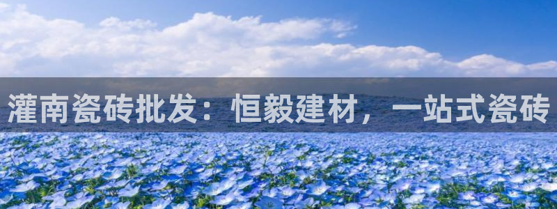 杏鑫代理注册平台