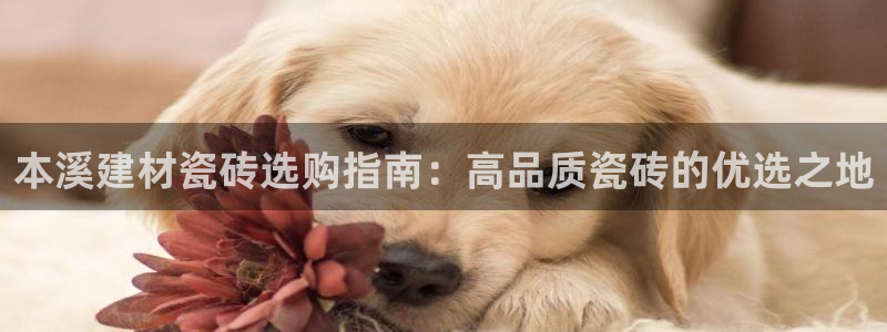 杏鑫娱乐测速