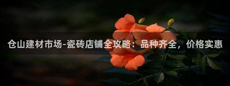 杏鑫官网注册账号是什么样的