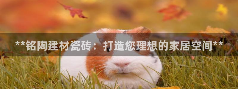 杏鑫平台注册网址查询