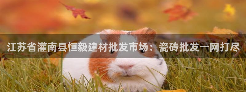 杏鑫娱乐怎么样