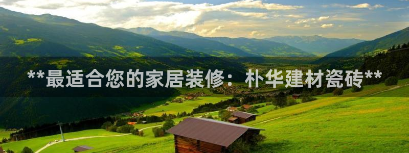 杏鑫平台平台