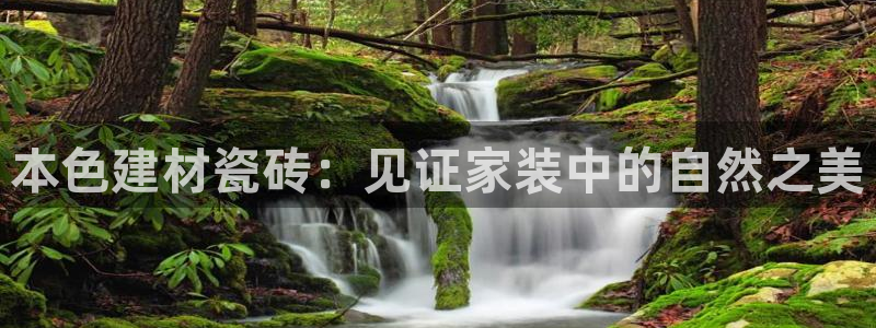 杏鑫娱乐官网登录不了