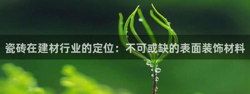 杏鑫官网注册账号怎么注册不了