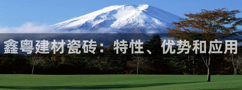 杏鑫平台注册地址在哪里