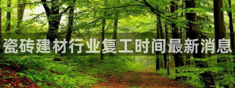 杏鑫有亏损返点吗