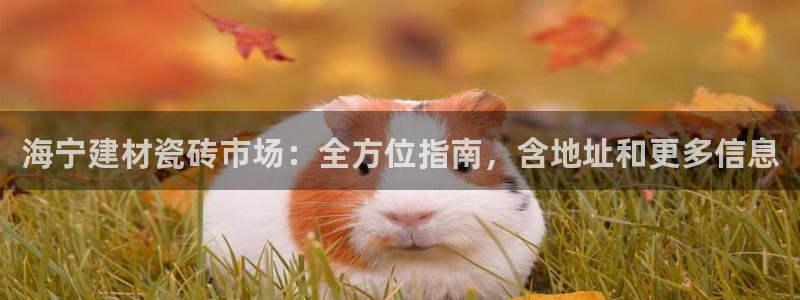 杏鑫官网