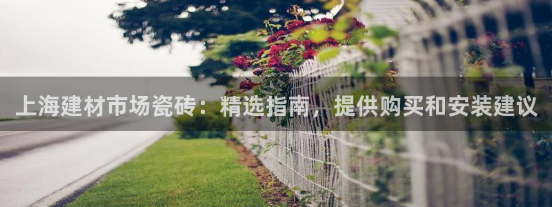 杏鑫3主管