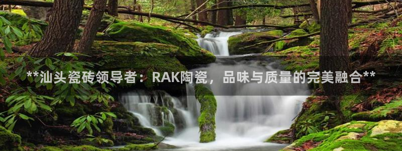 杏鑫娱乐平台测速怎么样