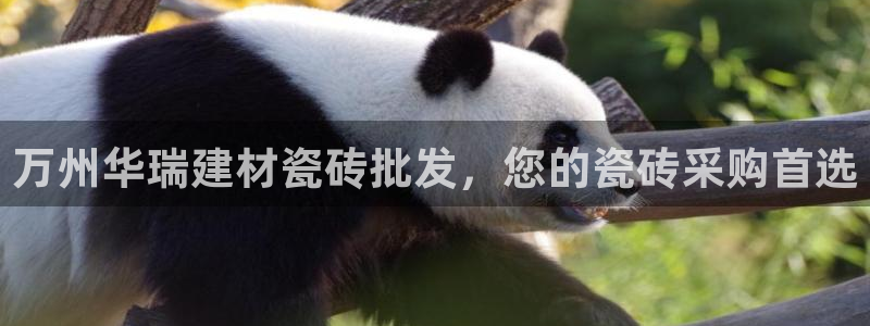 杏鑫平台代理怎么样赚钱