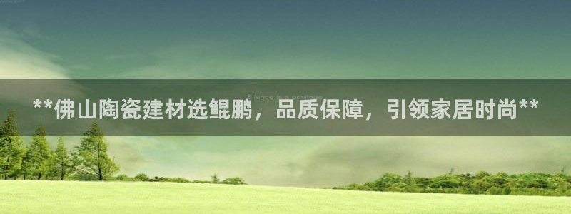 杏鑫娱乐开发团队