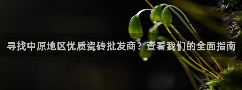 杏鑫平台平台娱乐