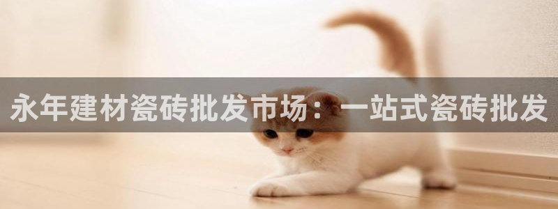 杏鑫平台下载安装