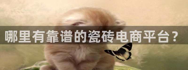 杏鑫平台招商电话