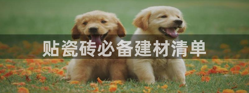 杏鑫官方平台怎么样啊知乎
