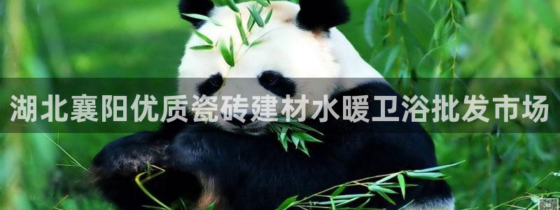 杏鑫平台招商电话