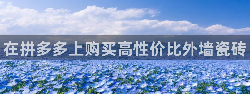 杏鑫平台平台