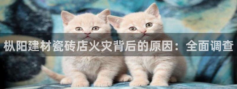 杏鑫平台怎么样黑钱吗是真的吗