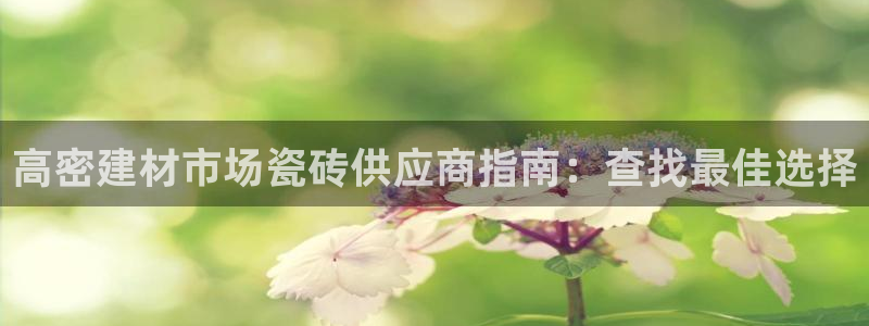 杏鑫注册登录代理公司