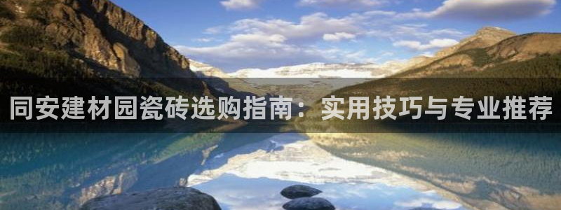 杏鑫登录注册测速