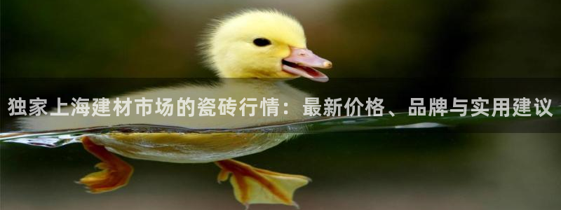 杏鑫官网注册账号是什么意思