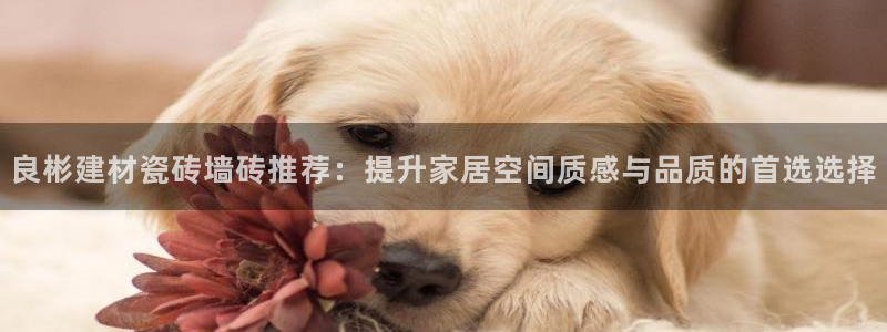 杏鑫平台平台