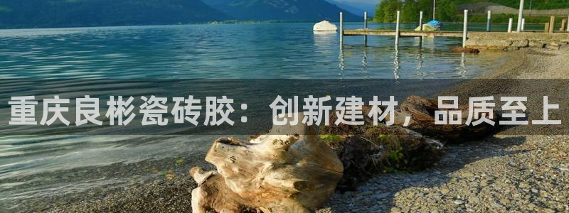 杏鑫平台招商电话号码查询