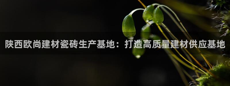 杏鑫平台招商怎么样啊