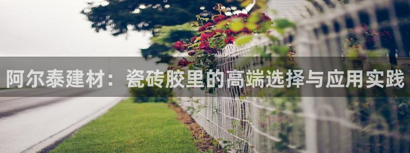 杏鑫官方app代理