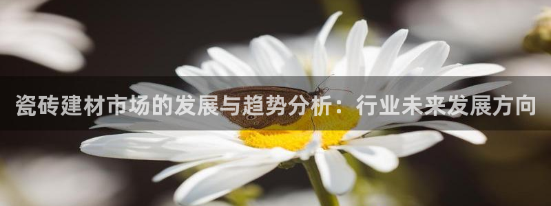 杏鑫平台念7O777