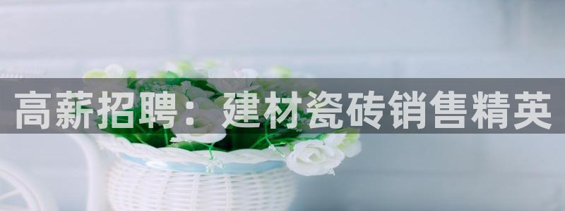 杏鑫平台野马联盟怎么样