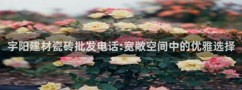 杏鑫代理注册登录