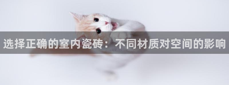 杏鑫平台下载安装