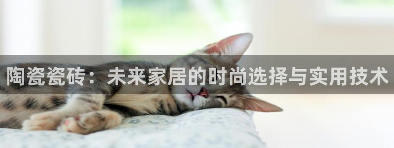 杏鑫平台靠谱吗